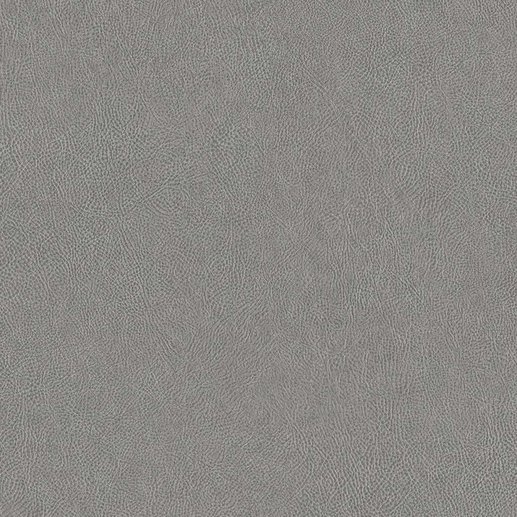 NE41, Grigio cover image