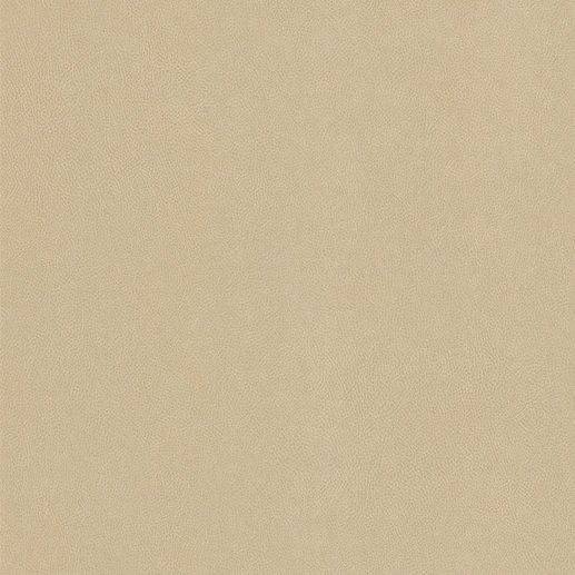 NE42, Cashmere cover image