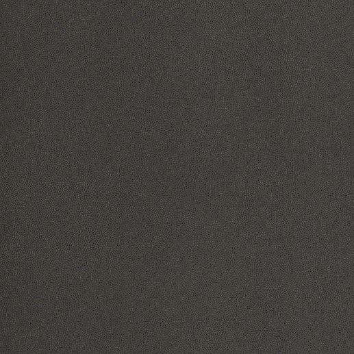 NE40, Truffle cover image