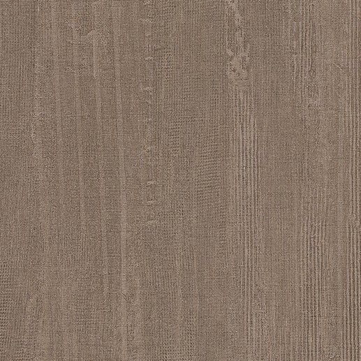 NE13, Shimmery Gold cover image