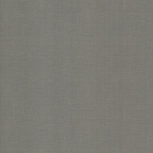 NE37, Silver and Brown Lined cover image